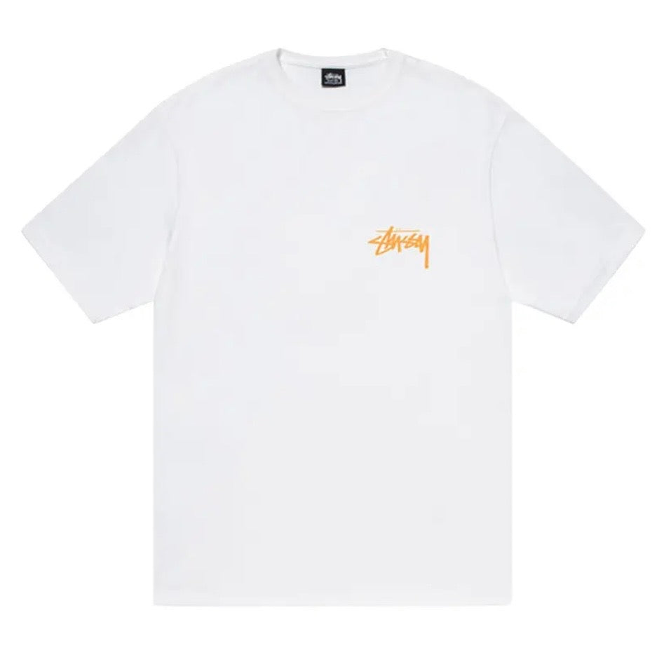 Stussy Coastline Tee White